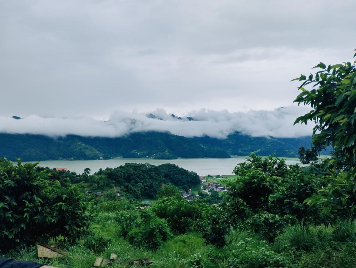 Into The Wild Pokhara Kaski Exterior foto